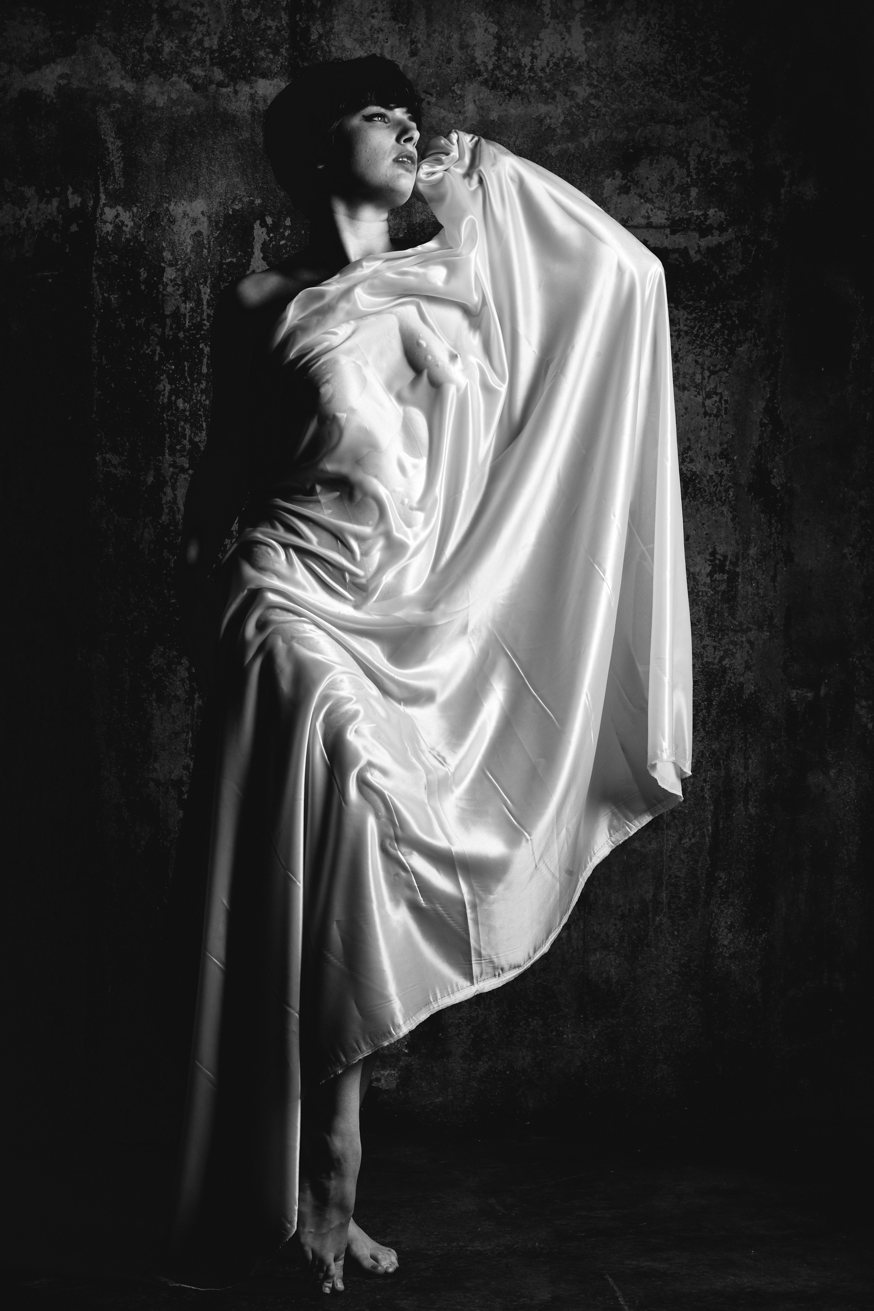 Eleanor - The Shed - Image 7