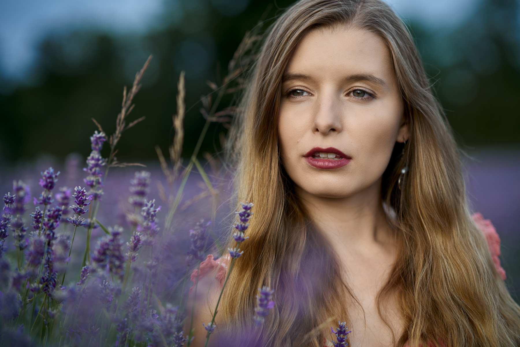 Jade - Lavender - Image 10