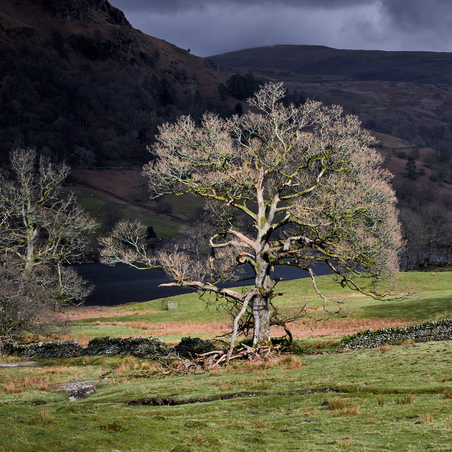 Lake District - England - Image 2