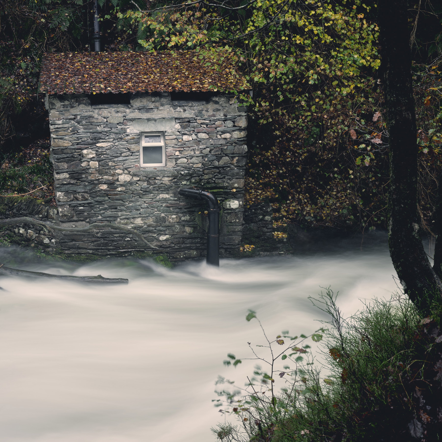 Lake District - England - Image 7