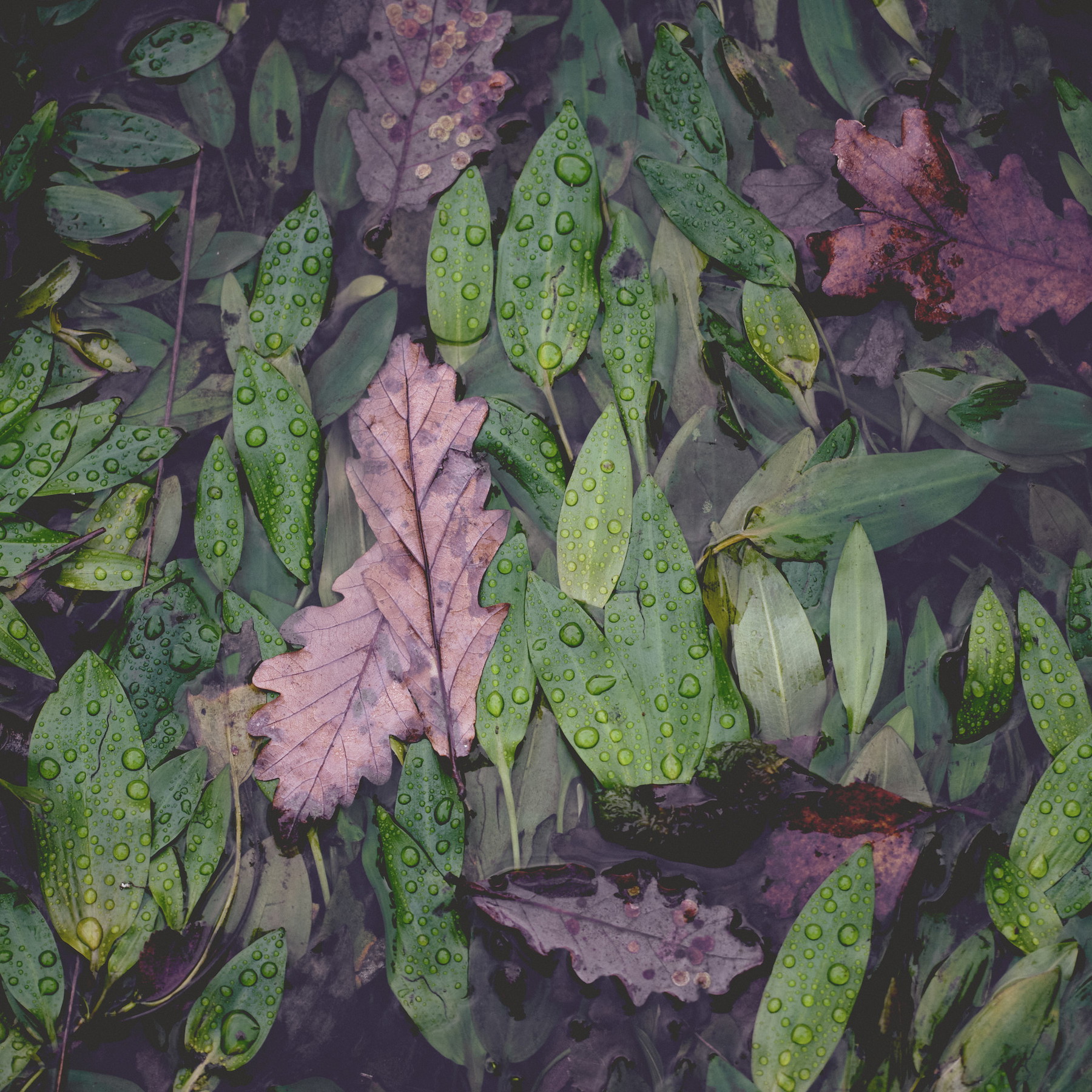 Lake District - England - Image 8
