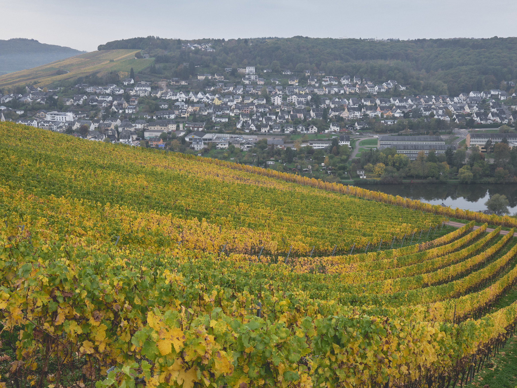 Mosel - Germany - Image 2