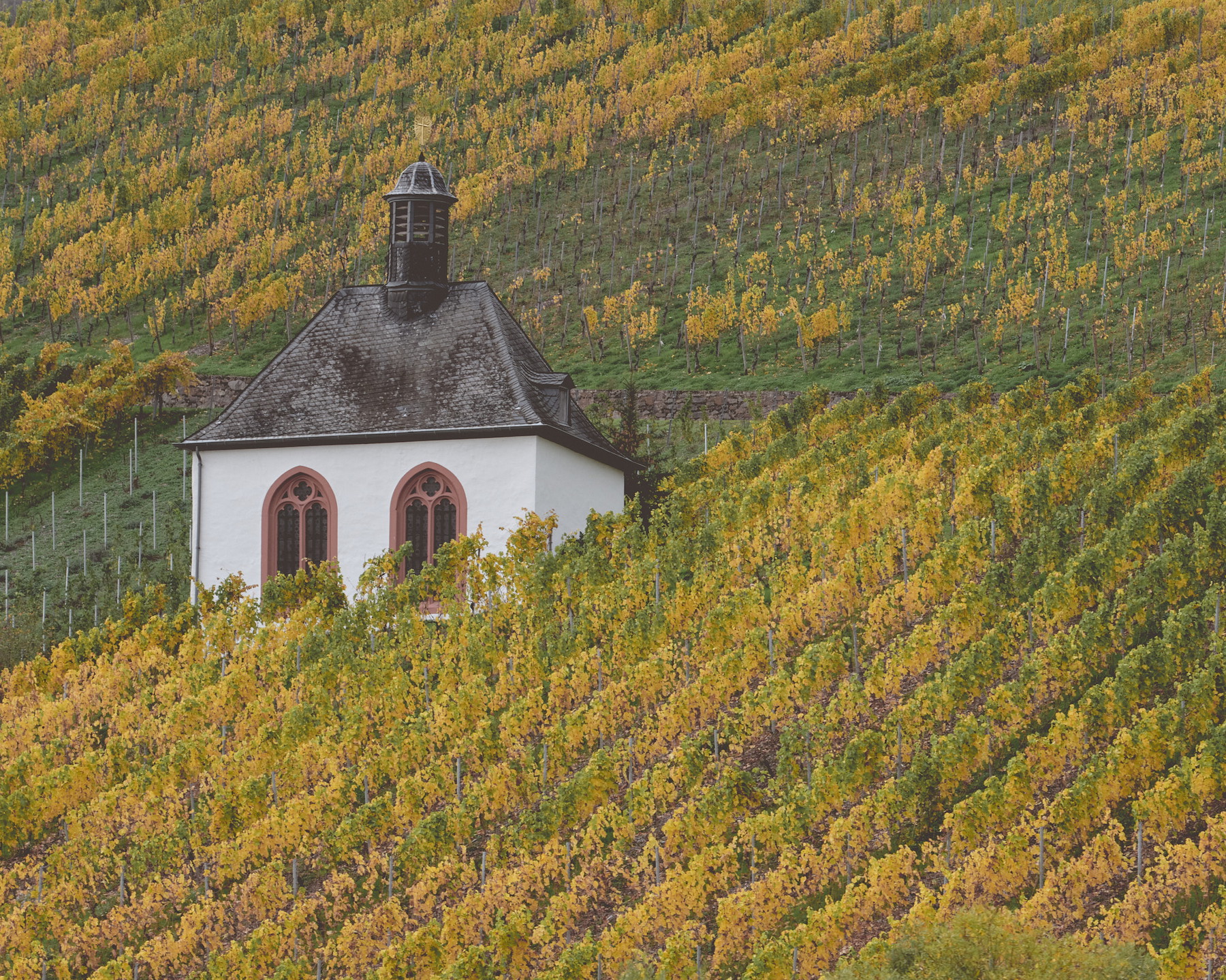 Mosel - Germany - Image 3