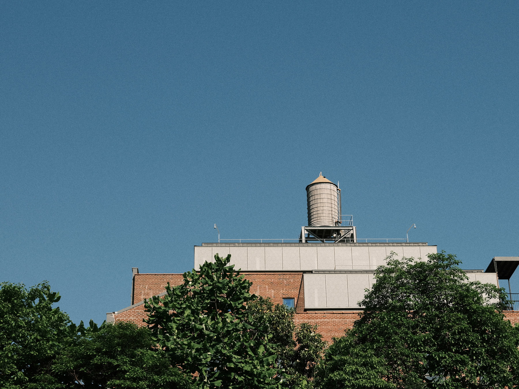 New York - USA (2024) - Image 4