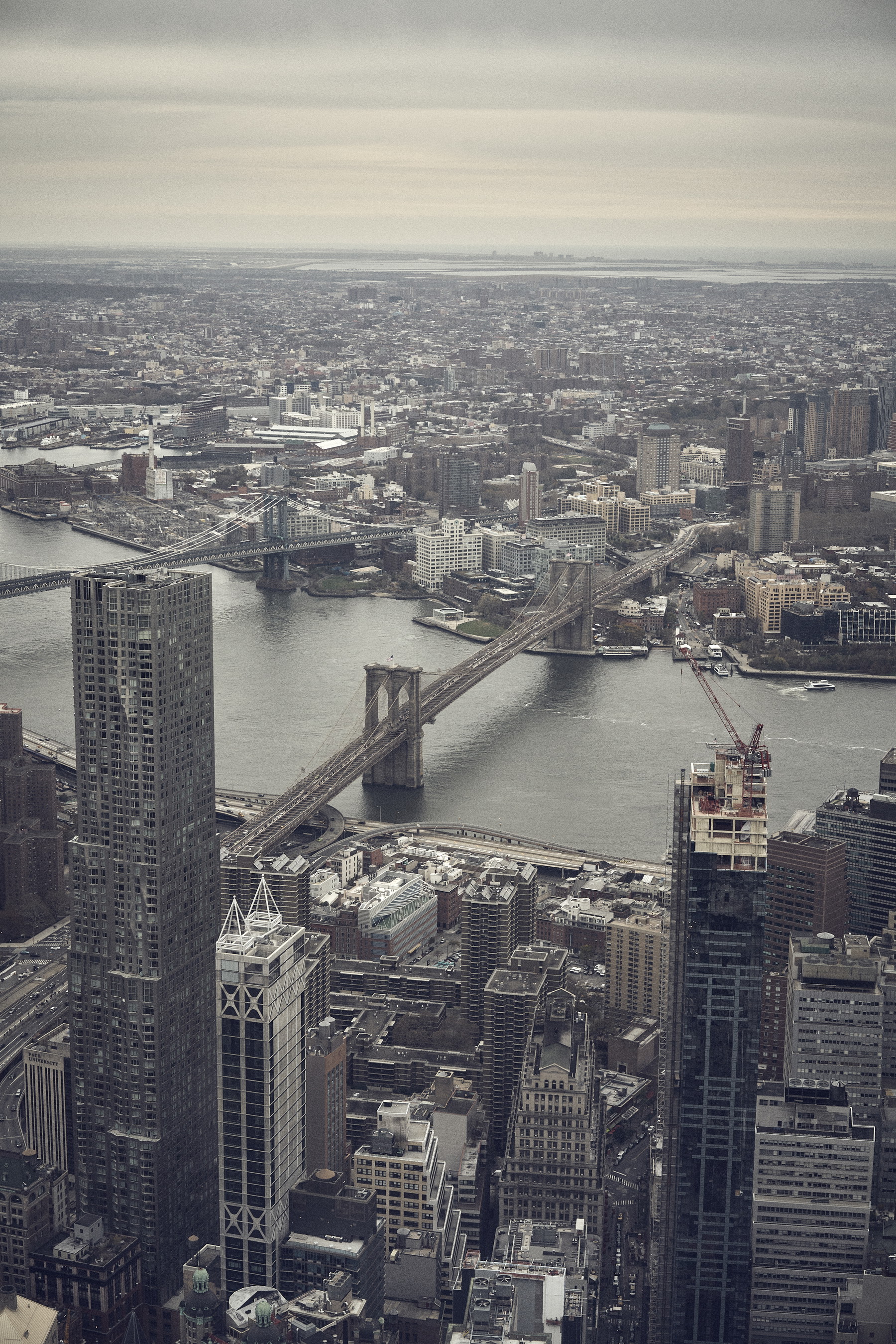 New York - USA - Image 4