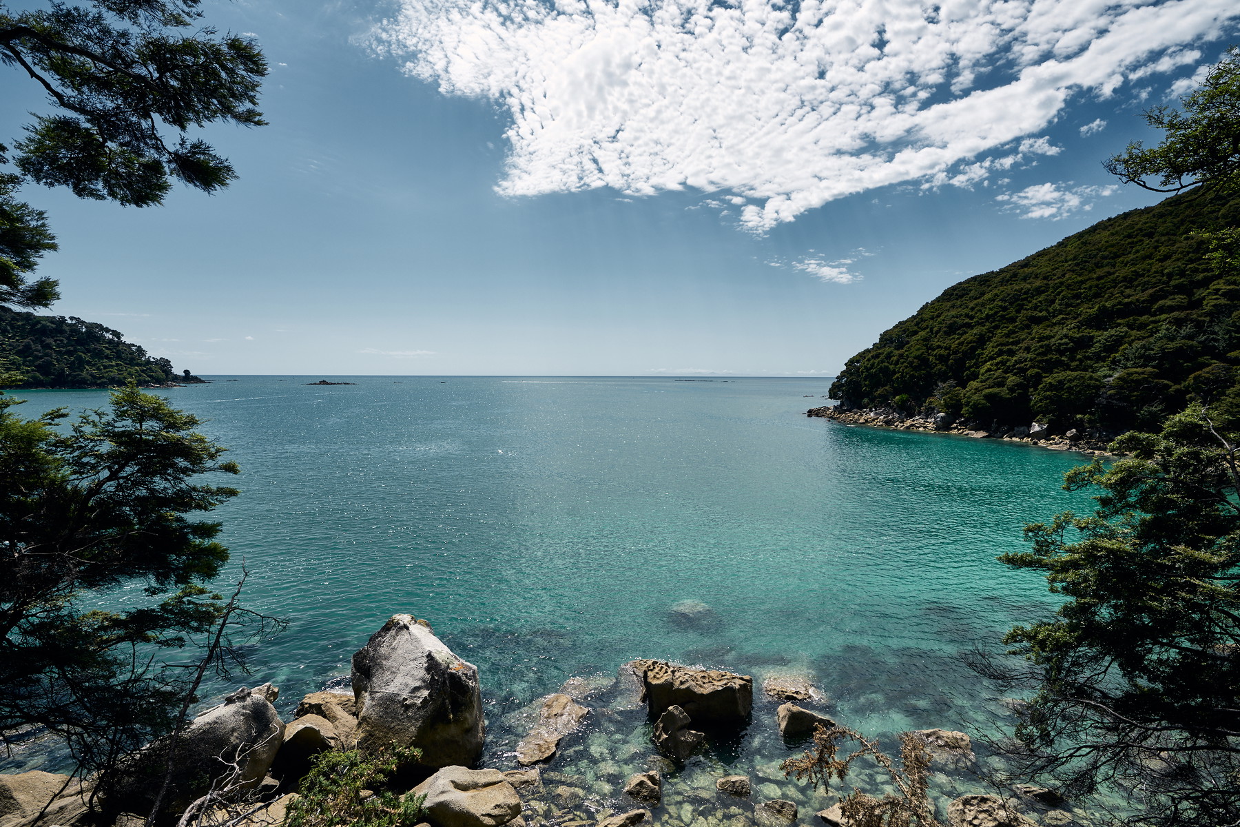 New Zealand - Image 13