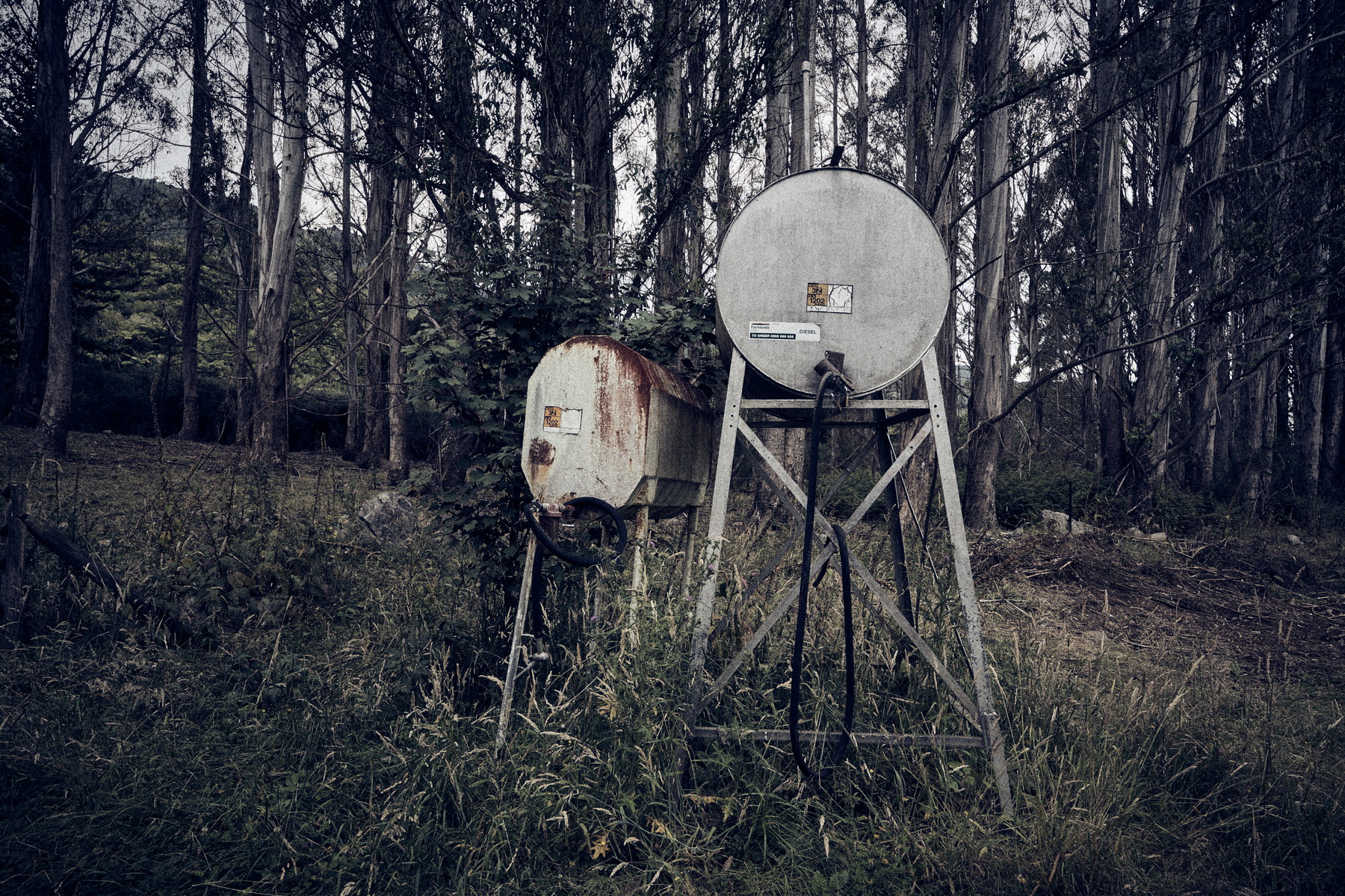 New Zealand - Image 14