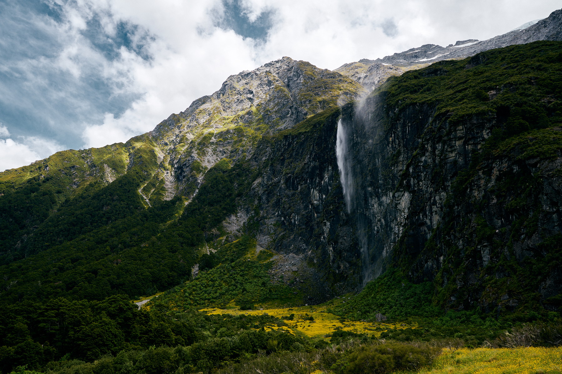 New Zealand - Image 21