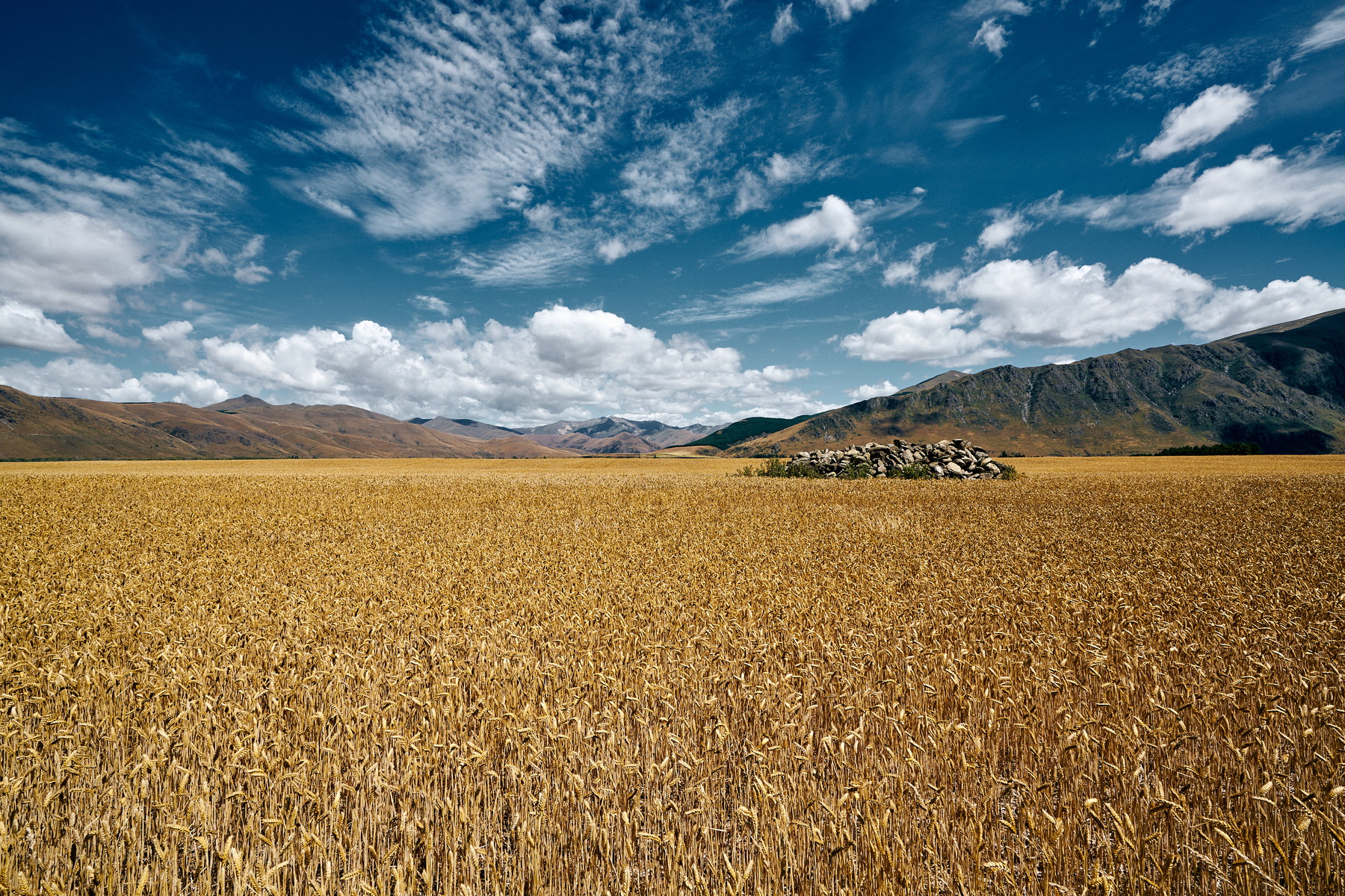 New Zealand - Image 29