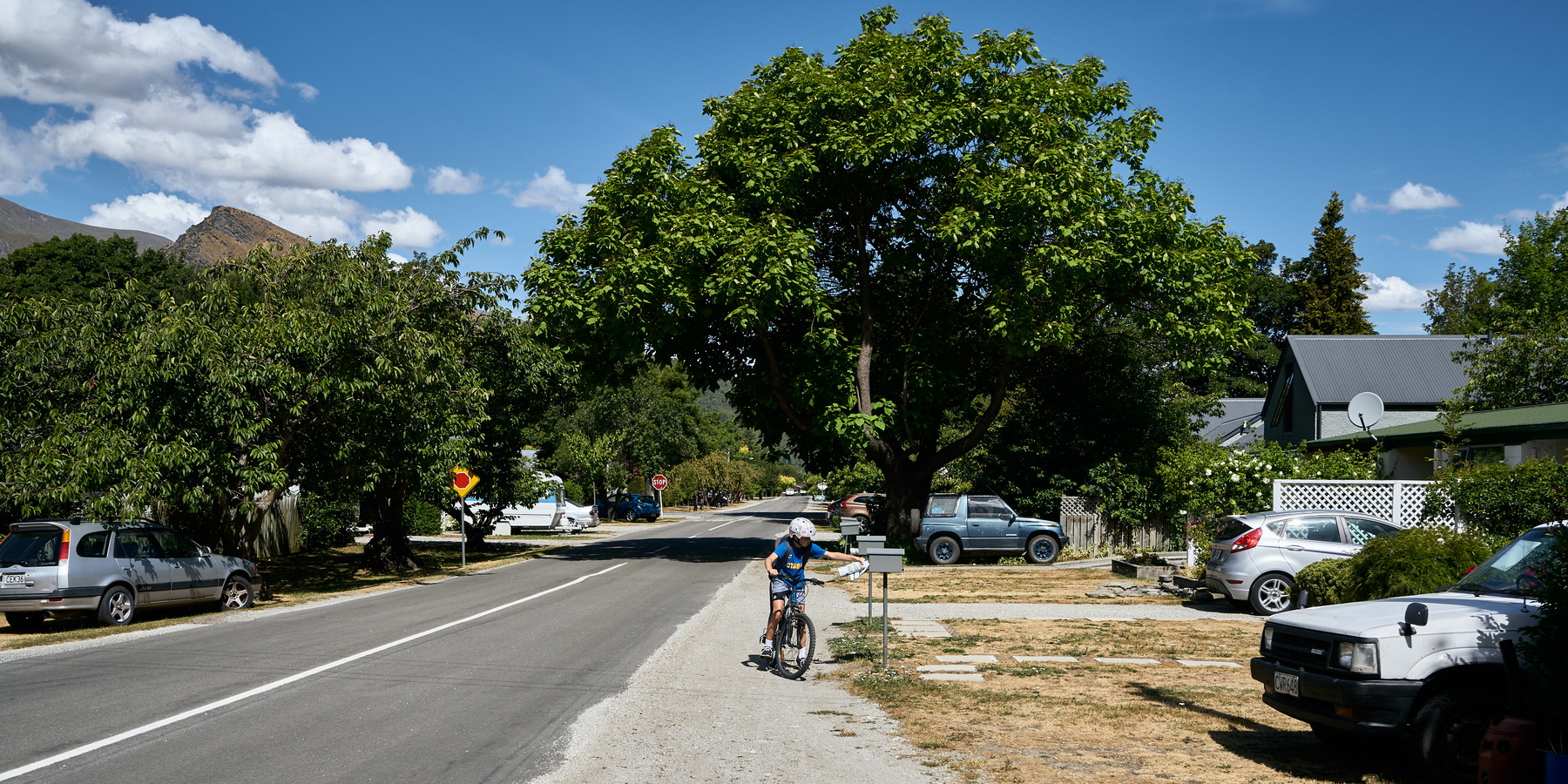 New Zealand - Image 32