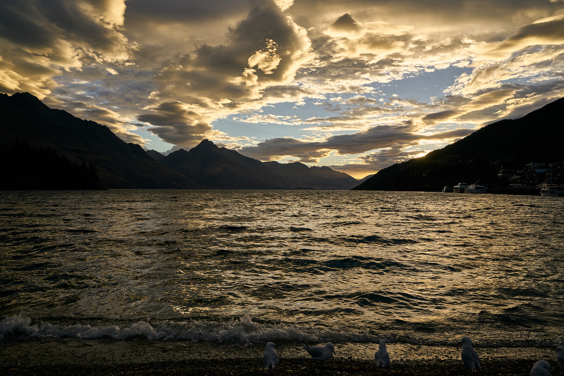 New Zealand - Image 33