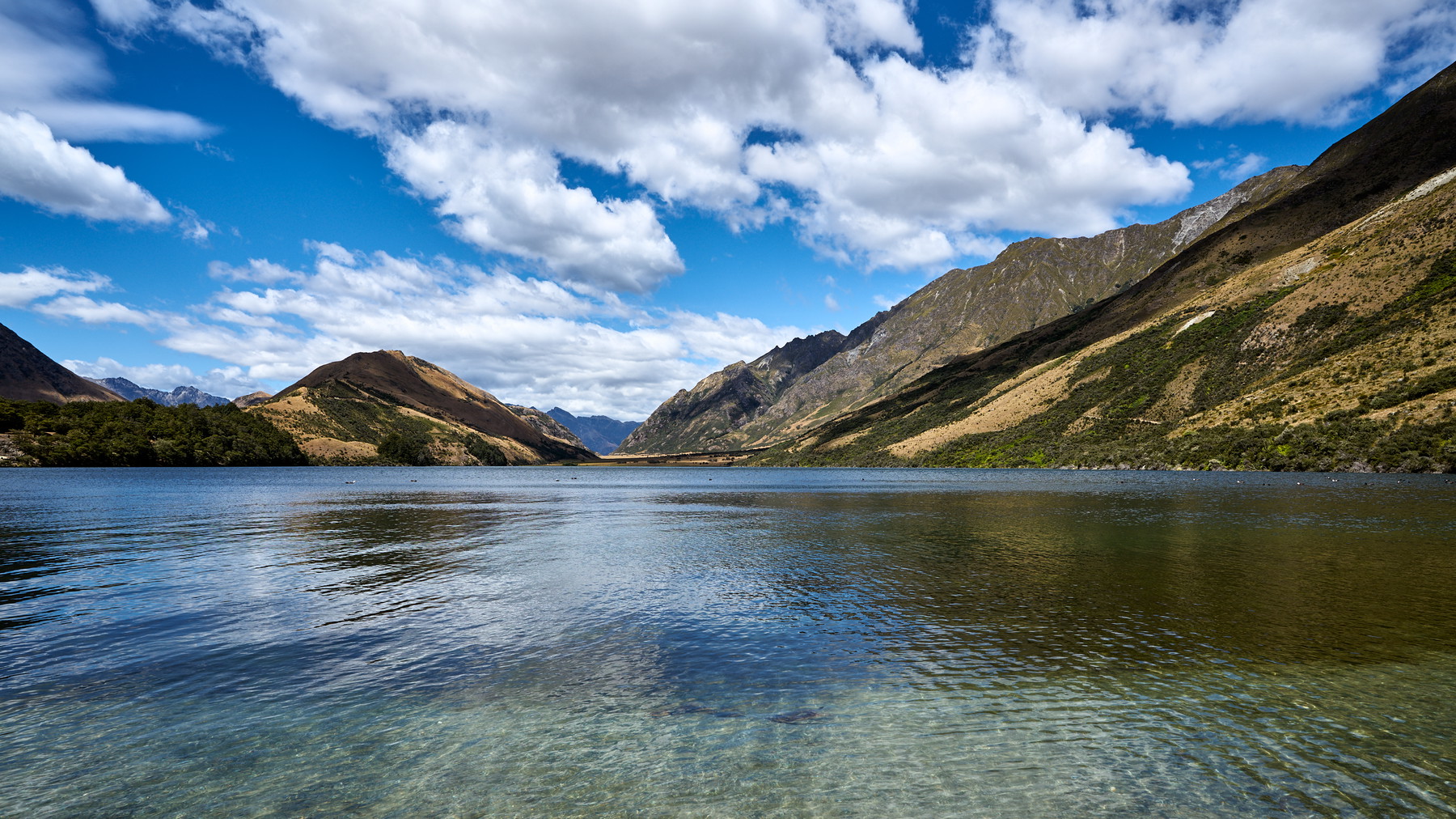 New Zealand - Image 35