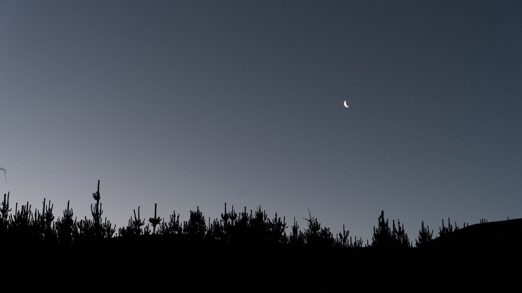 New Zealand - Image 40