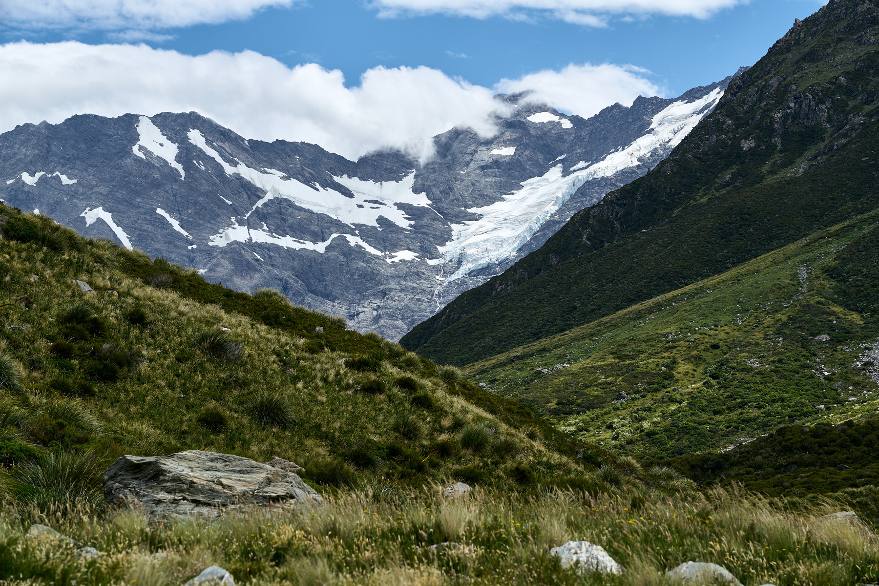 New Zealand - Image 45