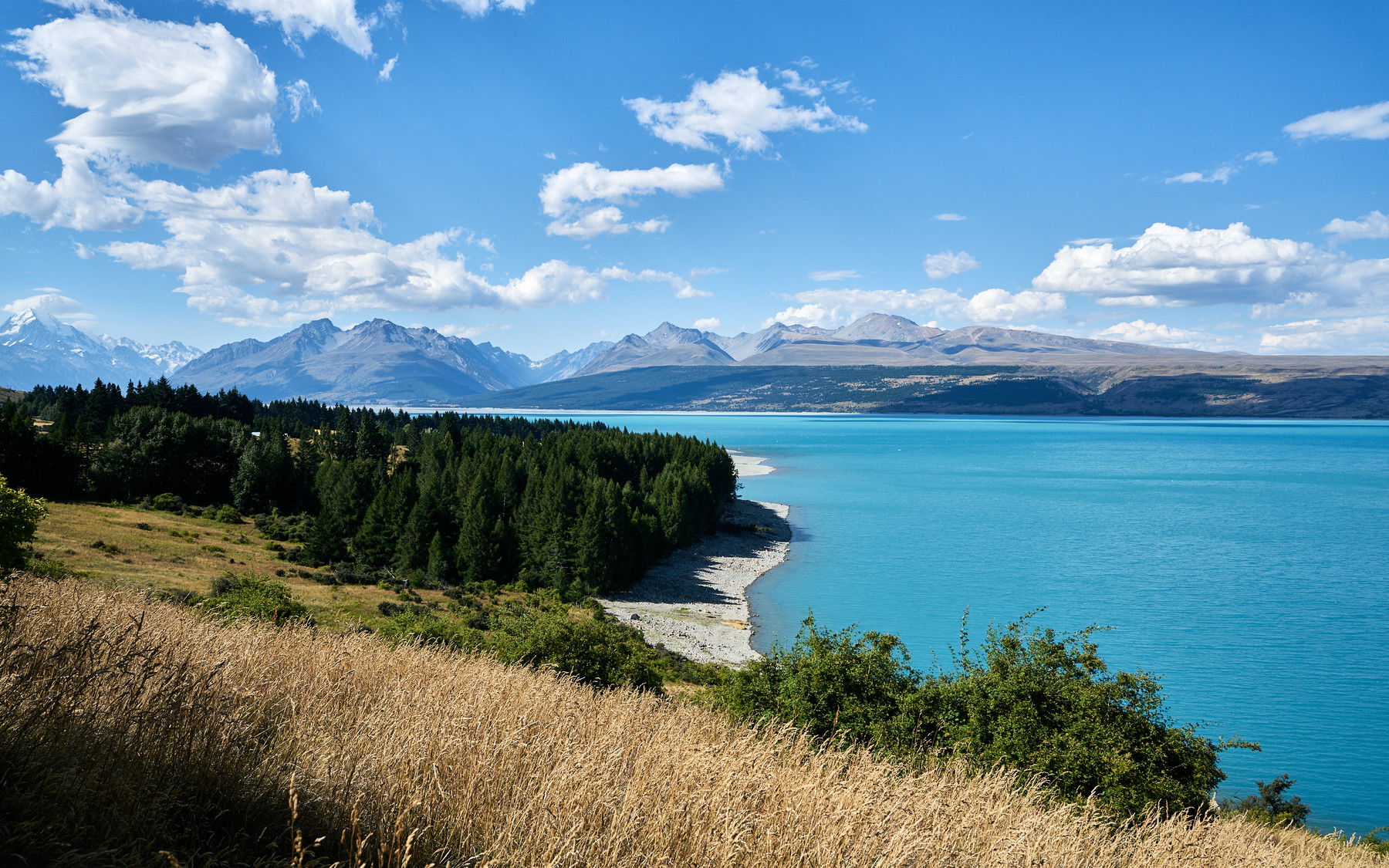 New Zealand - Image 47