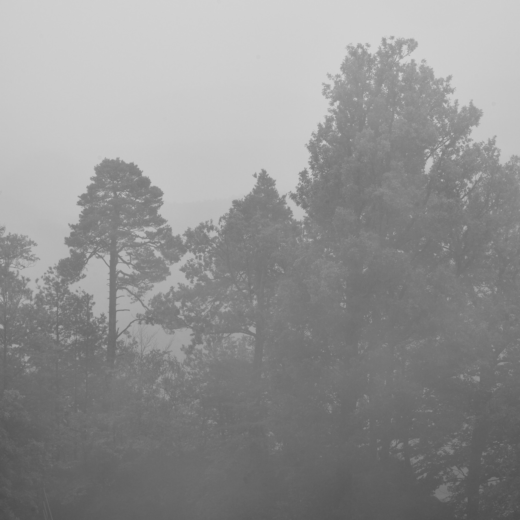 Saxon Switzerland - Germany - Image 6