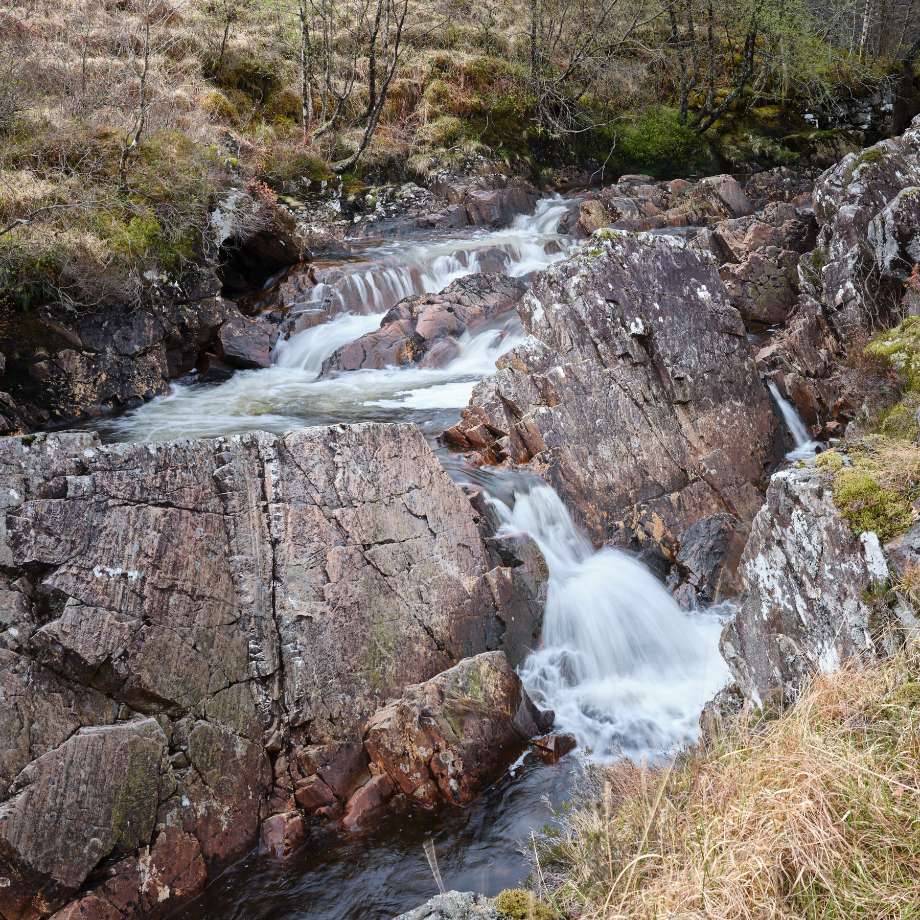 West Highland Way - Scotland - Image 6