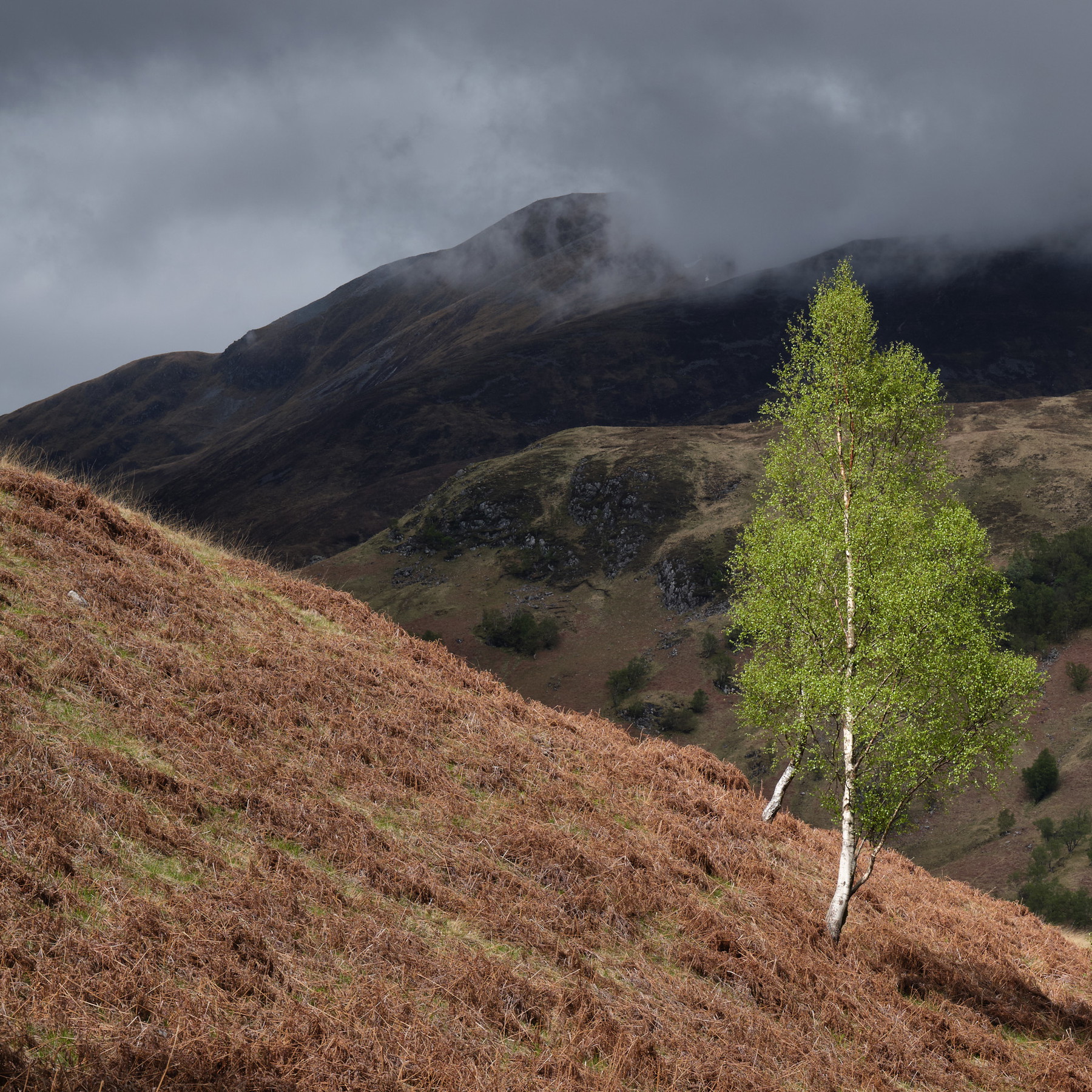West Highland Way - Scotland - Image 14
